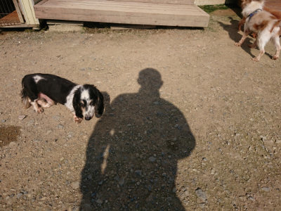 f:id:roukenhome-ann:20190730140236j:plain