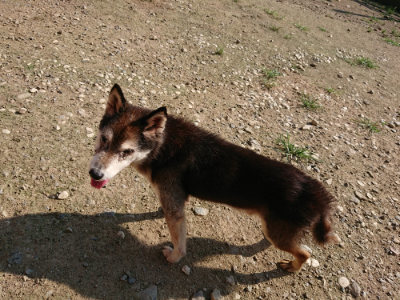 f:id:roukenhome-ann:20190730140314j:plain