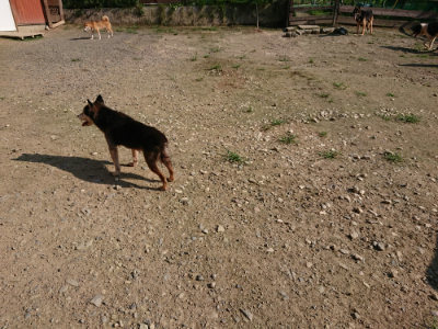 f:id:roukenhome-ann:20190730140350j:plain