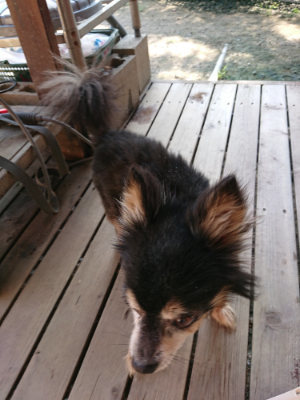 f:id:roukenhome-ann:20190730140430j:plain