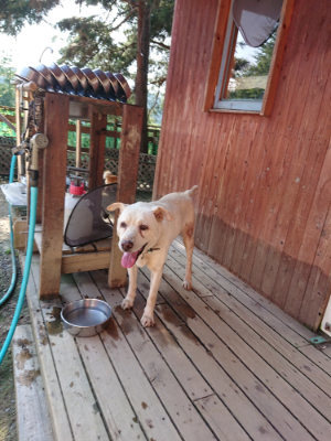 f:id:roukenhome-ann:20190730140456j:plain