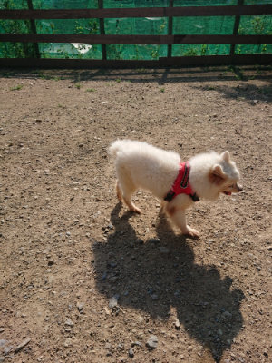f:id:roukenhome-ann:20190730152250j:plain