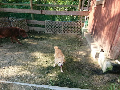 f:id:roukenhome-ann:20190730152306j:plain