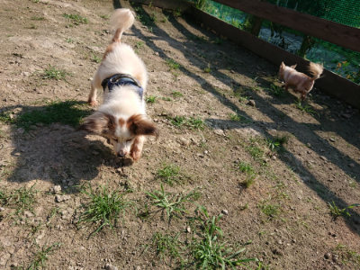 f:id:roukenhome-ann:20190730152337j:plain
