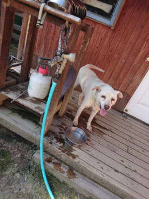 f:id:roukenhome-ann:20190730152355j:plain