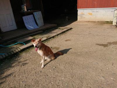f:id:roukenhome-ann:20190730152432j:plain