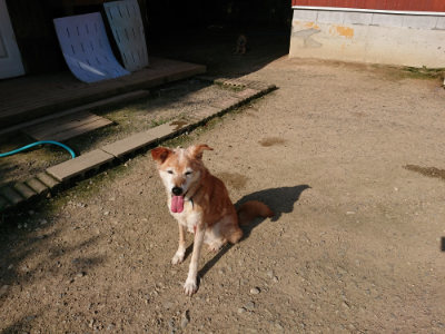 f:id:roukenhome-ann:20190730152438j:plain