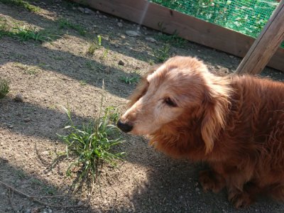 f:id:roukenhome-ann:20190730152448j:plain