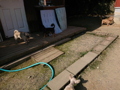 f:id:roukenhome-ann:20190730152459j:plain
