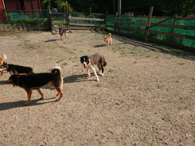 f:id:roukenhome-ann:20190730152513j:plain