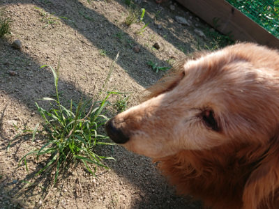 f:id:roukenhome-ann:20190730152520j:plain