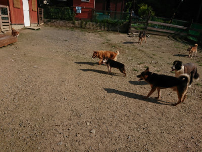 f:id:roukenhome-ann:20190730152528j:plain
