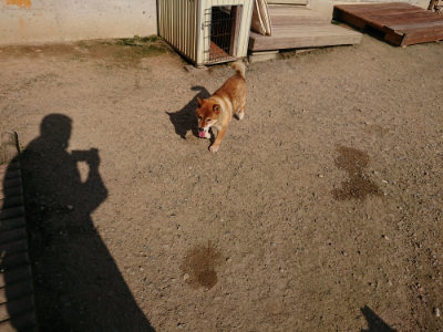 f:id:roukenhome-ann:20190730152641j:plain
