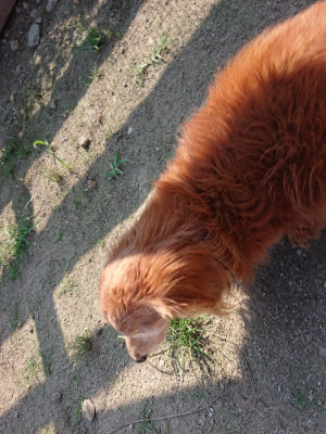 f:id:roukenhome-ann:20190730152727j:plain