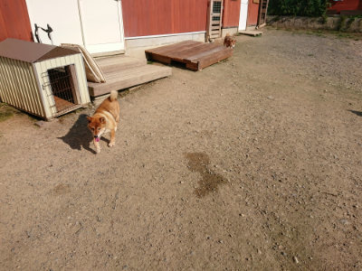 f:id:roukenhome-ann:20190730152828j:plain