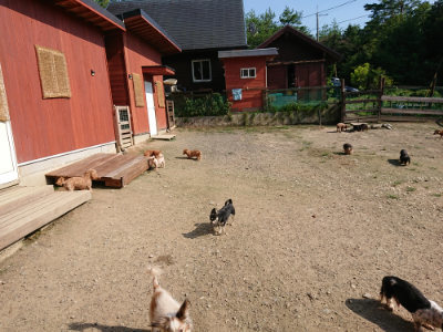 f:id:roukenhome-ann:20190730152945j:plain