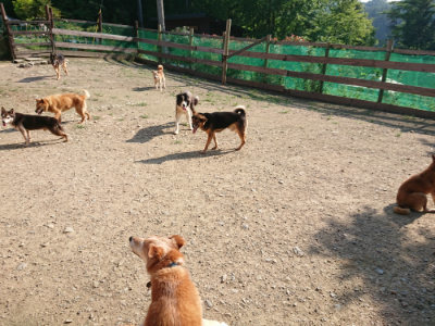 f:id:roukenhome-ann:20190730153220j:plain