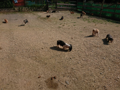 f:id:roukenhome-ann:20190730153632j:plain