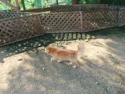 f:id:roukenhome-ann:20190730153743j:plain