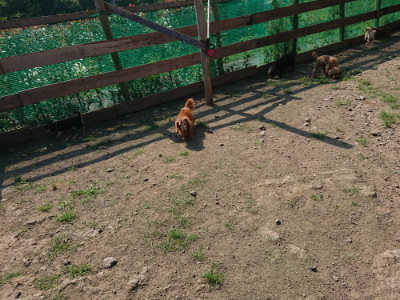 f:id:roukenhome-ann:20190730153748j:plain