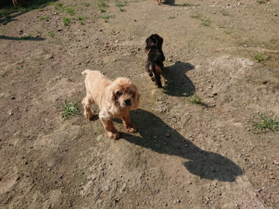 f:id:roukenhome-ann:20190730153842j:plain