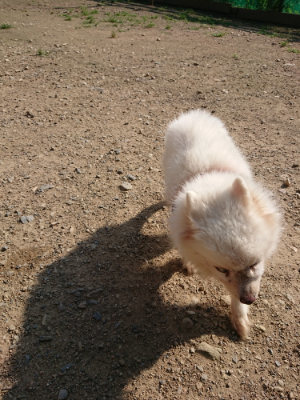 f:id:roukenhome-ann:20190730153922j:plain