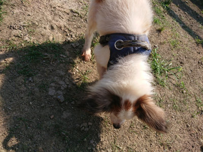 f:id:roukenhome-ann:20190730153942j:plain
