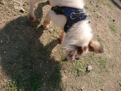 f:id:roukenhome-ann:20190730153954j:plain