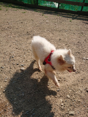 f:id:roukenhome-ann:20190730154003j:plain