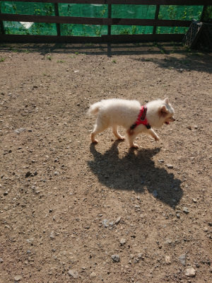 f:id:roukenhome-ann:20190730154030j:plain