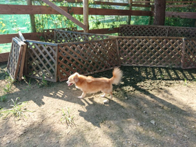 f:id:roukenhome-ann:20190730180341j:plain