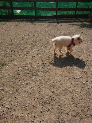 f:id:roukenhome-ann:20190730180424j:plain