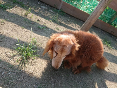 f:id:roukenhome-ann:20190730180542j:plain
