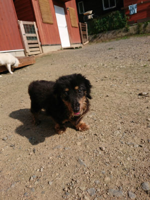 f:id:roukenhome-ann:20190730180732j:plain