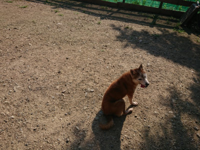 f:id:roukenhome-ann:20190730180829j:plain