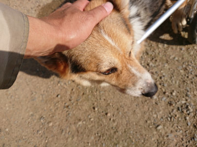 f:id:roukenhome-ann:20190730180856j:plain