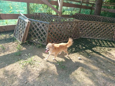 f:id:roukenhome-ann:20190730180907j:plain