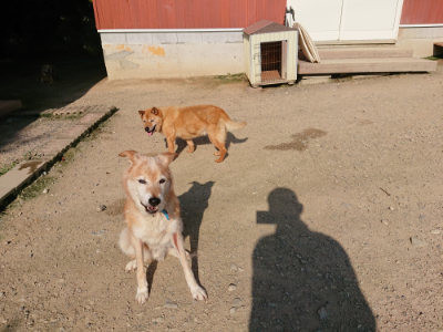 f:id:roukenhome-ann:20190730180914j:plain