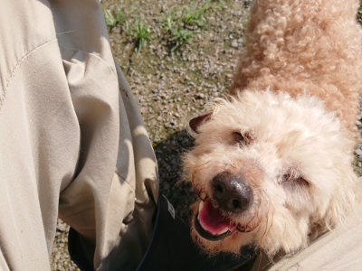 f:id:roukenhome-ann:20190730180921j:plain