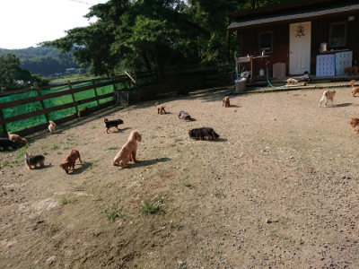 f:id:roukenhome-ann:20190730180931j:plain