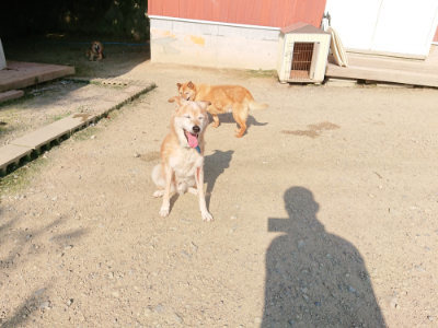 f:id:roukenhome-ann:20190730180945j:plain
