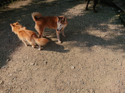 f:id:roukenhome-ann:20190730181026j:plain