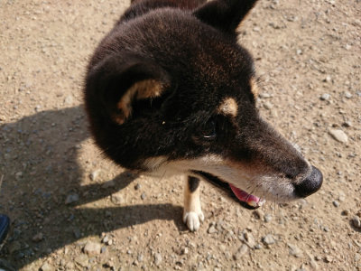 f:id:roukenhome-ann:20190730181101j:plain