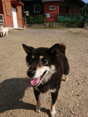 f:id:roukenhome-ann:20190730181127j:plain
