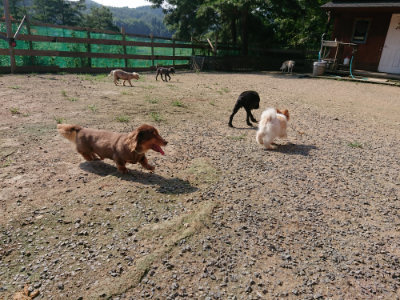 f:id:roukenhome-ann:20190730181143j:plain