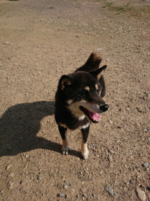 f:id:roukenhome-ann:20190730181158j:plain