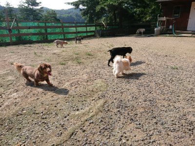 f:id:roukenhome-ann:20190730181210j:plain