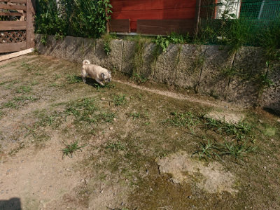 f:id:roukenhome-ann:20190730181232j:plain