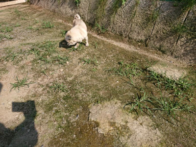 f:id:roukenhome-ann:20190730181238j:plain