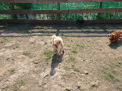 f:id:roukenhome-ann:20190730181317j:plain